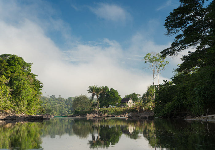 Our Charities: The Amazon Conservation Team