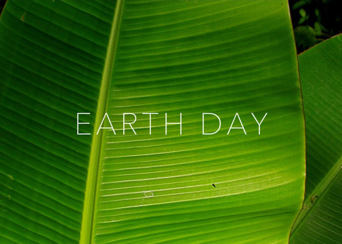 Earth Day