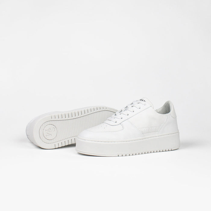 Introducing the Ludo